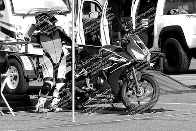 media/Feb-23-2024-2WTD (Fri) [[a719da276a]]/1-Around the Pits/